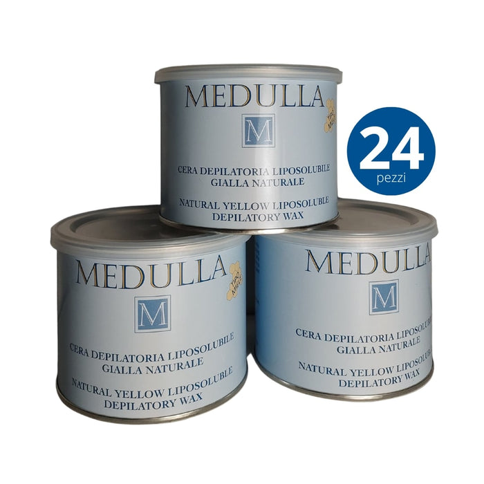 24 pezzi - Cera Depilatoria Liposolubile Gialla Naturale (Tipo Miele) 400ml