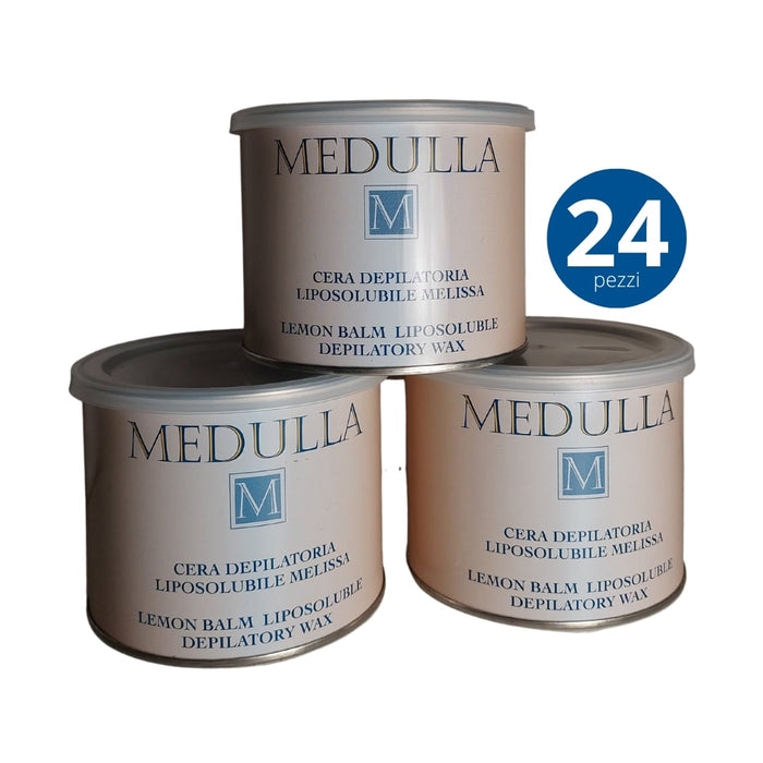 24 pezzi - Cera Depilatoria Liposolubile Melissa 400ml