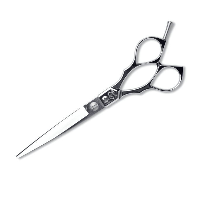 Forbice Classica professionale per capelli 6.0