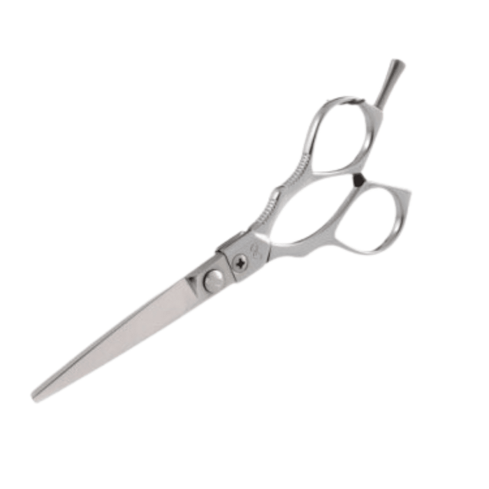 Forbice Classica professionale per capelli 5.5