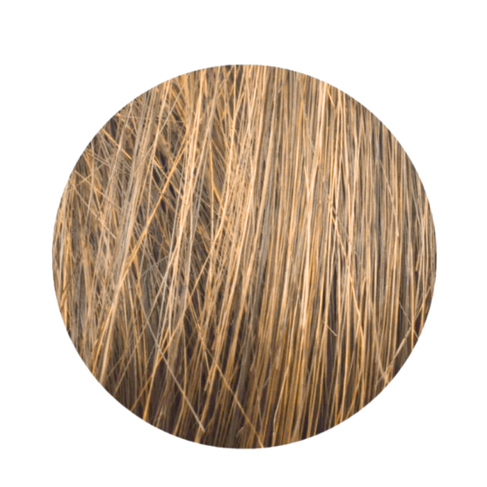 Fibre Copri Calvizie 26g - Hair Effect